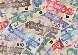 歯科医をきちんと椎名町で把握しよう